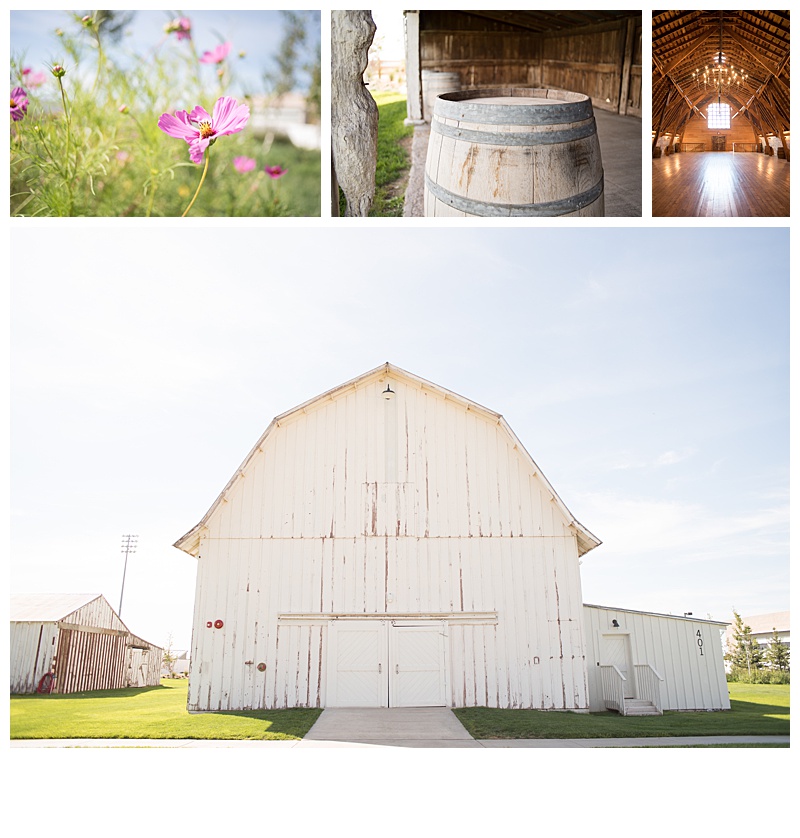 The White Barn at Happy Valley, Nampa Wedding Photographer, Nampa Wedding Videographer